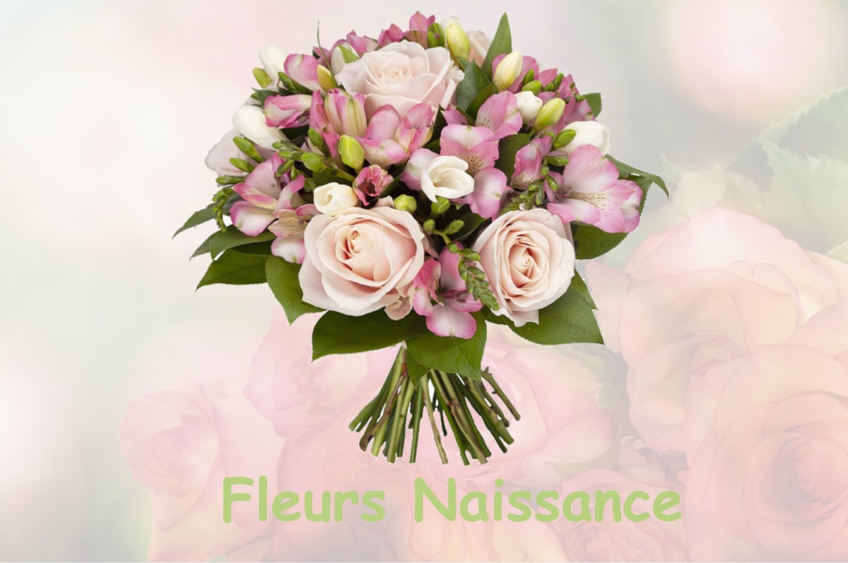 fleurs naissance PRESSINS