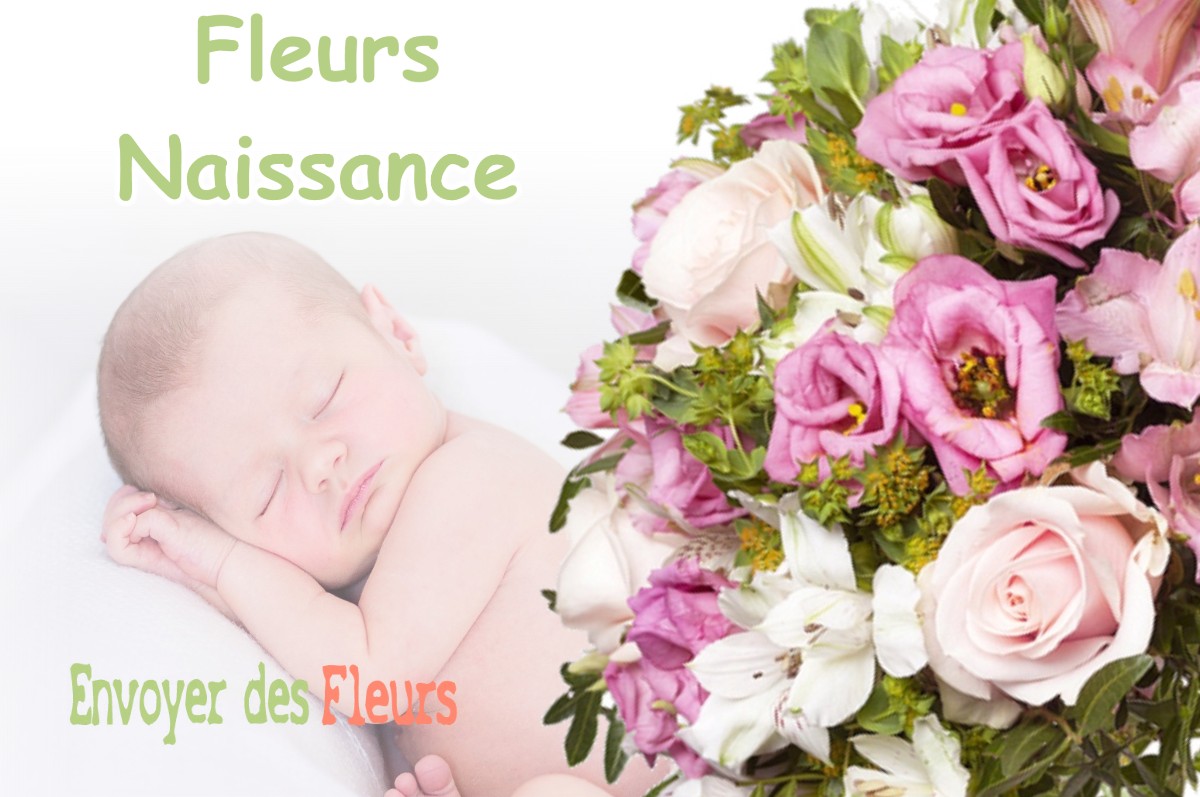 lIVRAISON FLEURS NAISSANCE à PRESSINS